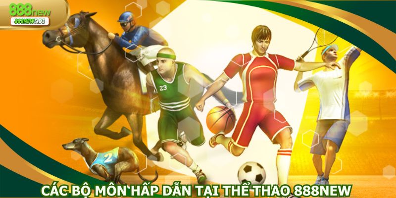 Đa dạng bộ môn thể thao hấp dẫn để thành viên chọn lựa